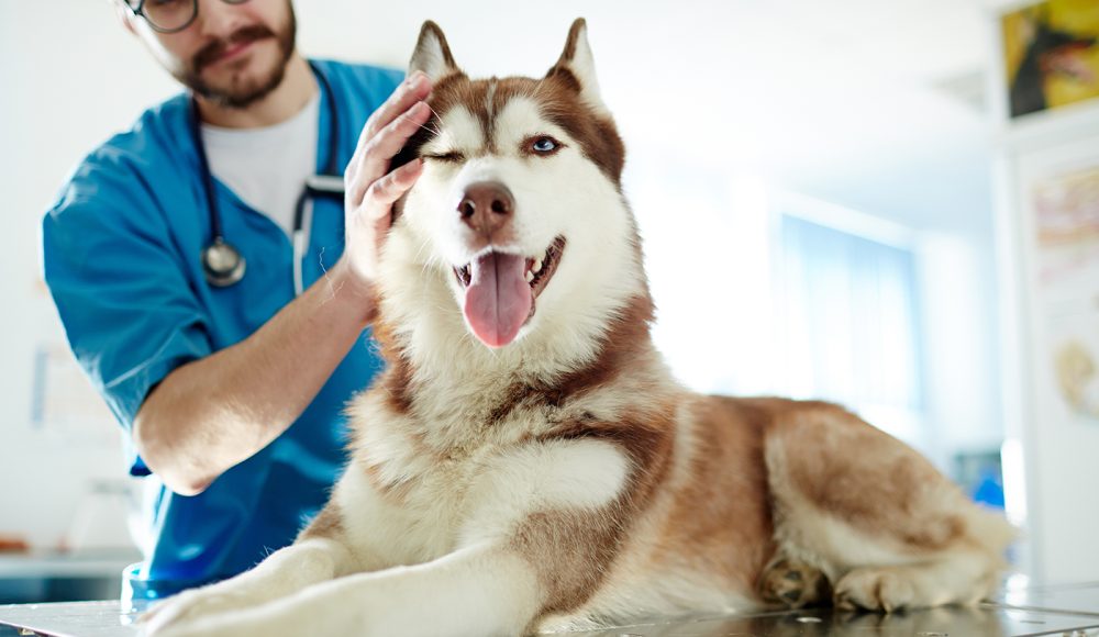 What is a Good Regular Health Checkup