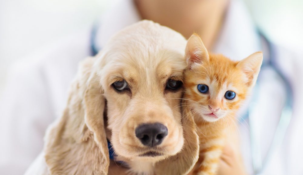 Best Health Care Decisions for Patients