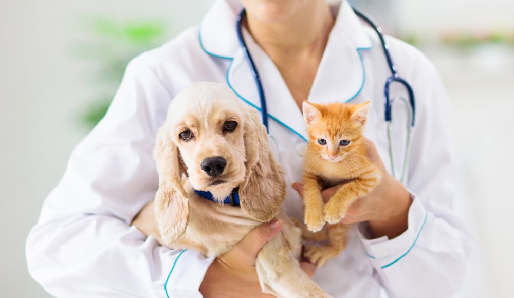 Medical Team Department in Health